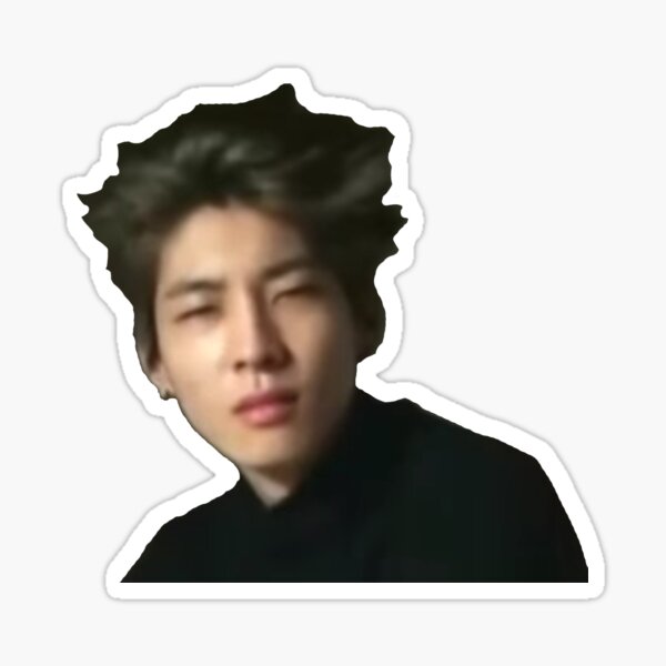 bedhead wonwoo  Sticker