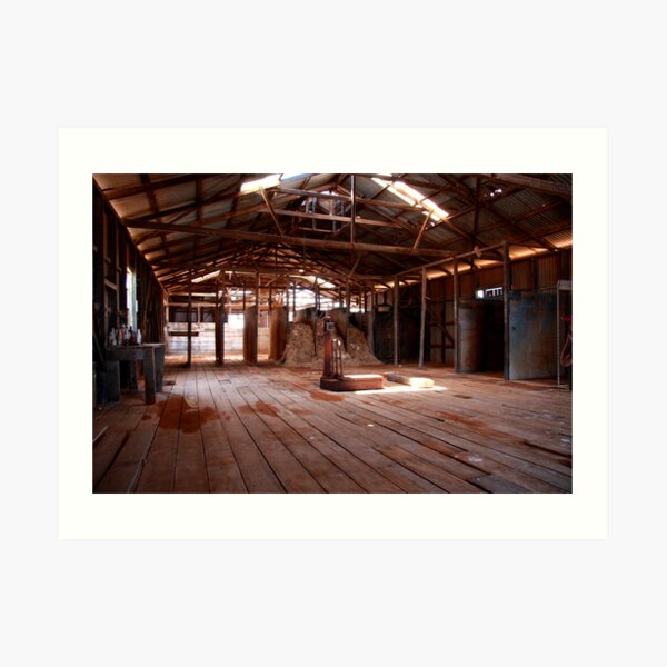 Old shearing shed Art Print
