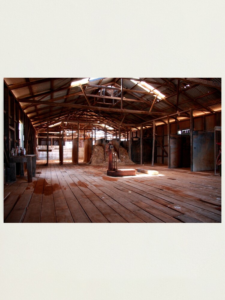 Alternate view of Old shearing shed Photographic Print