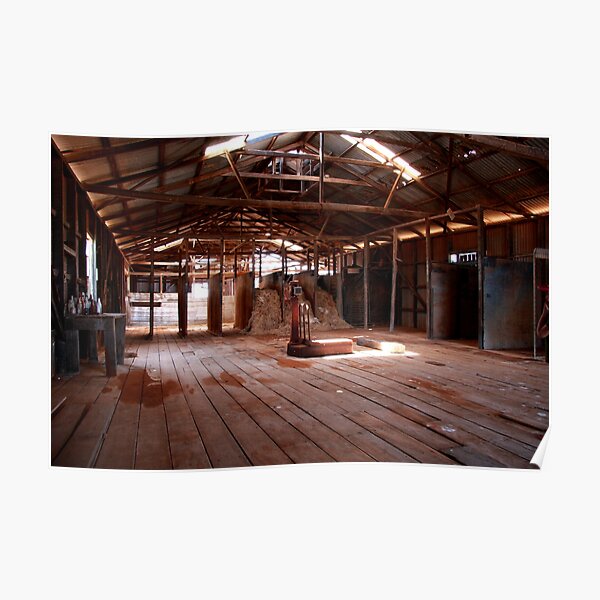 Old shearing shed Poster
