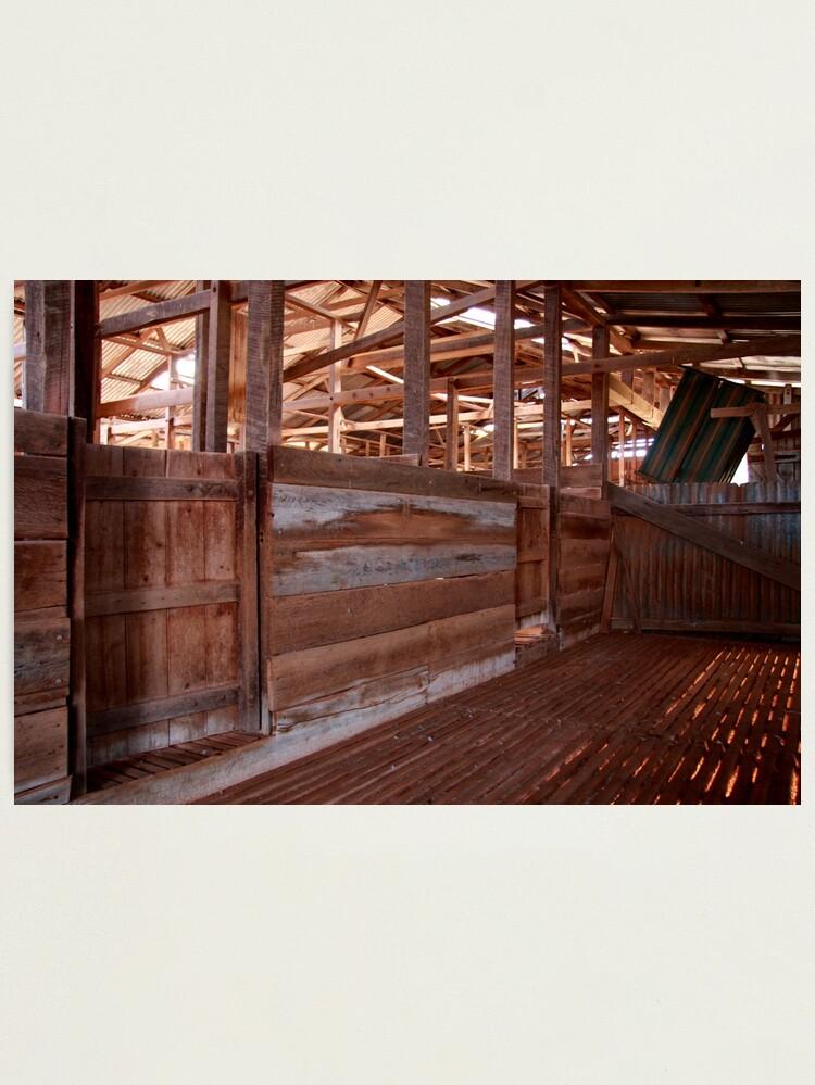 Alternate view of Shearing shed - holding pen Photographic Print