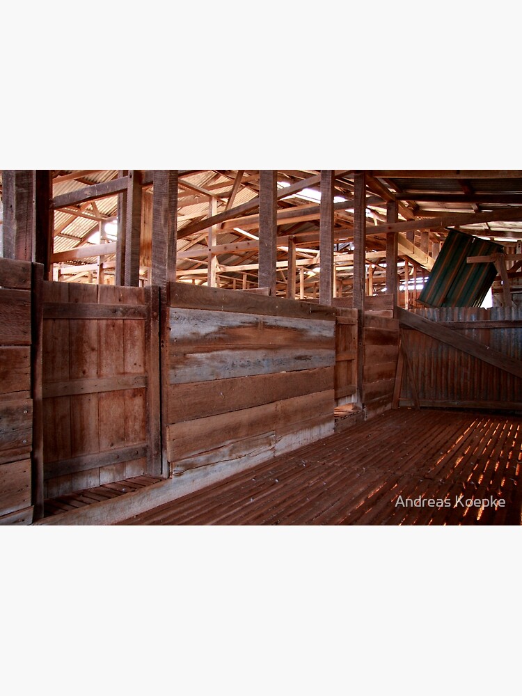 Shearing shed - holding pen by mistered