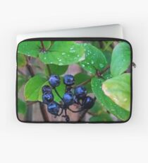 Black Berries........ Laptop Sleeve