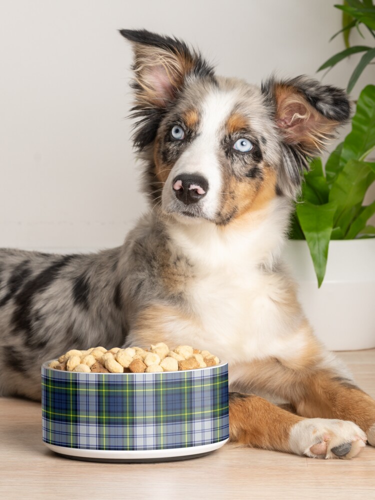 Checker Pet Bowl