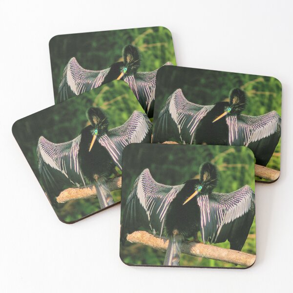 Item preview, One Horny Anhinga designed and sold by Lee Young.