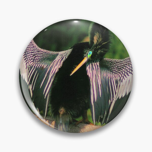 Item preview, One Horny Anhinga designed and sold by Lee Young.