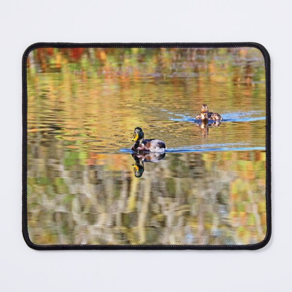 Item preview, Mallards In Autumn designed and sold by Deb Oppermann.