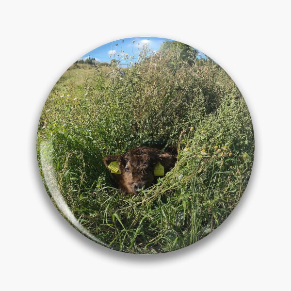 Item preview, Scottish Highland Cattle Calf 4067 designed and sold by SaarelaHighland.