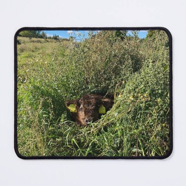 Item preview, Scottish Highland Cattle Calf 4067 designed and sold by SaarelaHighland.
