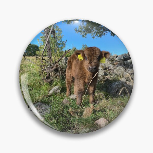 Artikelvorschau, Scottish Highland Cattle Calf 4069 entworfen und verkauft von SaarelaHighland.