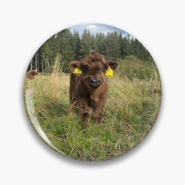 Item preview, Scottish Highland Cattle Calf 4070 designed and sold by SaarelaHighland.