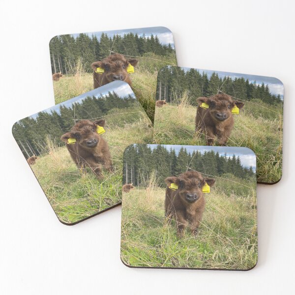 Item preview, Scottish Highland Cattle Calf 4070 designed and sold by SaarelaHighland.