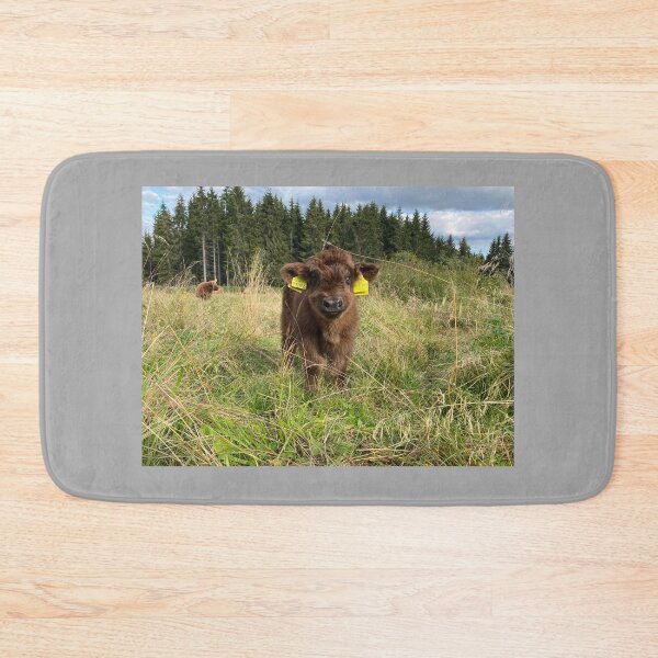 Item preview, Scottish Highland Cattle Calf 4070 designed and sold by SaarelaHighland.