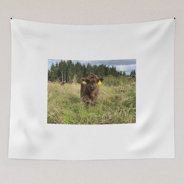 Item preview, Scottish Highland Cattle Calf 4070 designed and sold by SaarelaHighland.