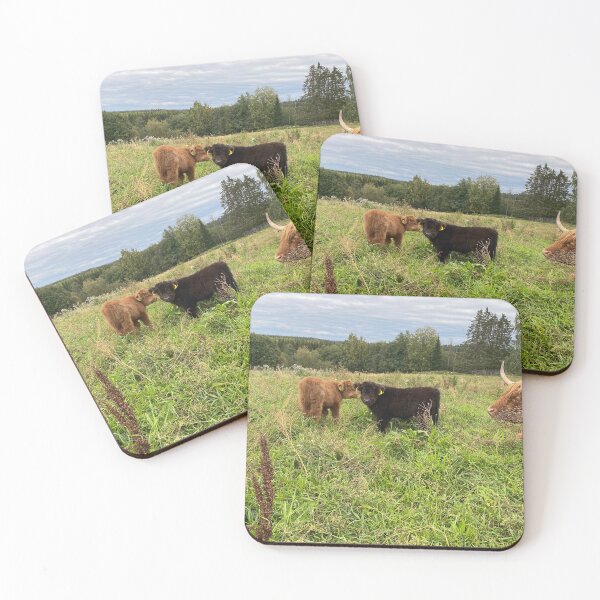 Artikelvorschau, Scottish Highland Cattle Caves 4072 entworfen und verkauft von SaarelaHighland.