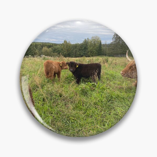Artikelvorschau, Scottish Highland Cattle Caves 4072 entworfen und verkauft von SaarelaHighland.