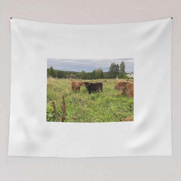 Item preview, Scottish Highland Cattle Caves 4072 designed and sold by SaarelaHighland.
