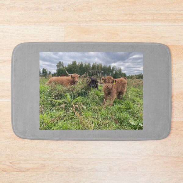 Item preview, Scottish Highland Cattle Calves 4073 designed and sold by SaarelaHighland.
