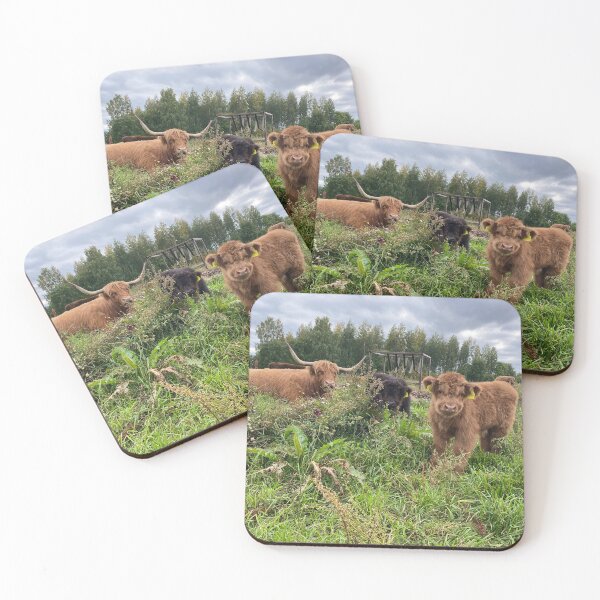 Item preview, Scottish Highland Cattle Calves 4073 designed and sold by SaarelaHighland.