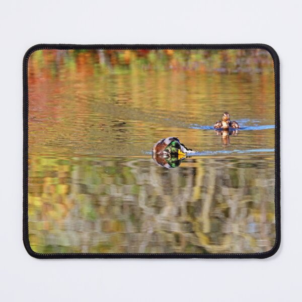 Item preview, Mallards In Autumn Colours designed and sold by Deb Oppermann.