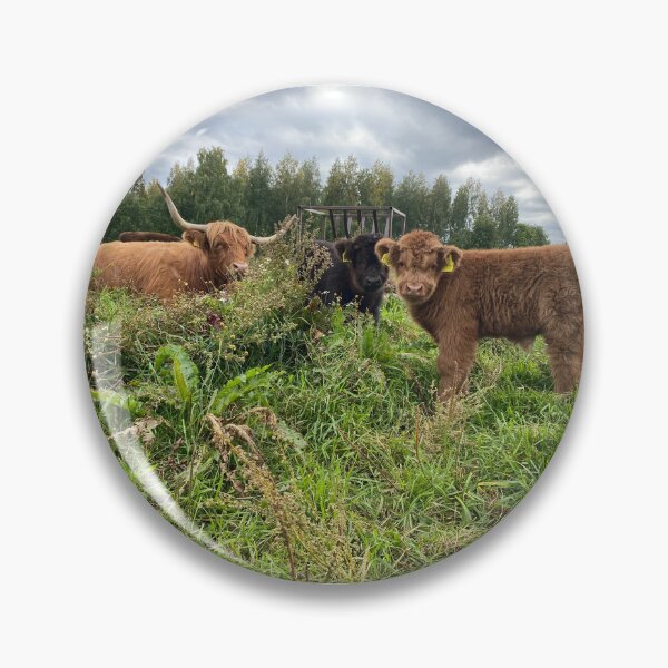 Artikelvorschau, Scottish Highland Cattle Calves 4074 entworfen und verkauft von SaarelaHighland.