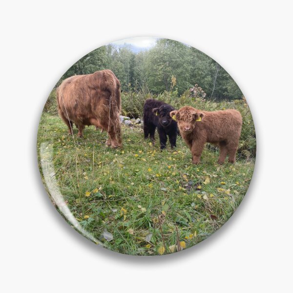 Artikelvorschau, Scottish Highland Cattle Calves 4077 entworfen und verkauft von SaarelaHighland.