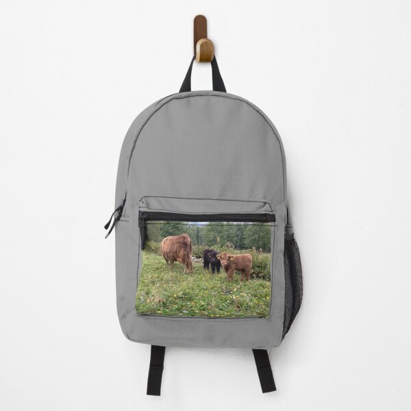 Item preview, Scottish Highland Cattle Calves 4077 designed and sold by SaarelaHighland.