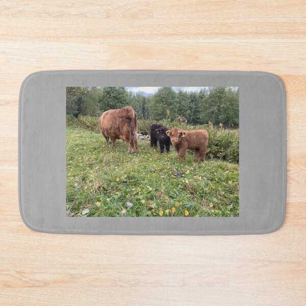 Item preview, Scottish Highland Cattle Calves 4077 designed and sold by SaarelaHighland.