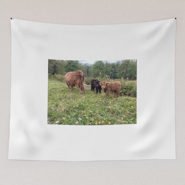 Item preview, Scottish Highland Cattle Calves 4077 designed and sold by SaarelaHighland.