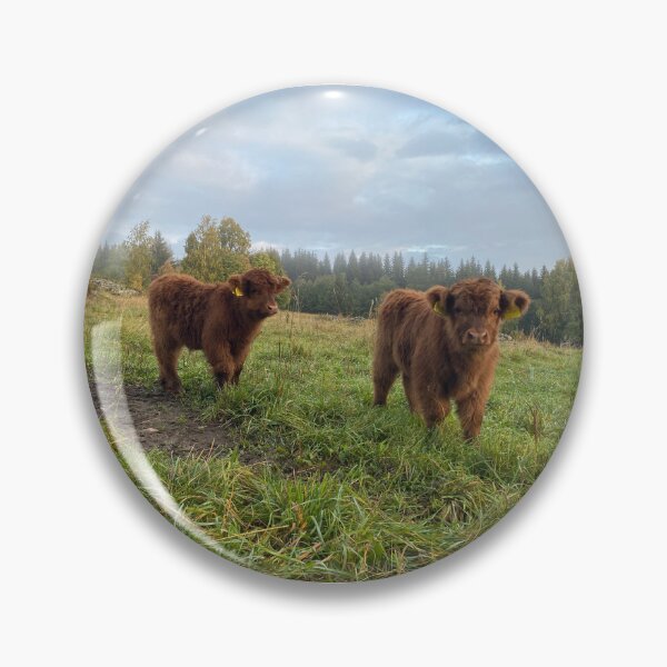 Artikelvorschau, Scottish Highland Cattle Calves 4078 entworfen und verkauft von SaarelaHighland.