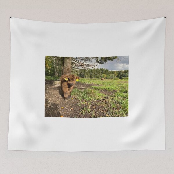 Item preview, Scottish Highland Cattle Calf 4079 designed and sold by SaarelaHighland.