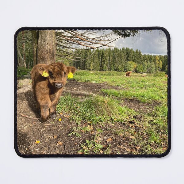 Item preview, Scottish Highland Cattle Calf 4079 designed and sold by SaarelaHighland.