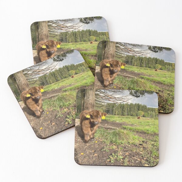 Item preview, Scottish Highland Cattle Calf 4079 designed and sold by SaarelaHighland.