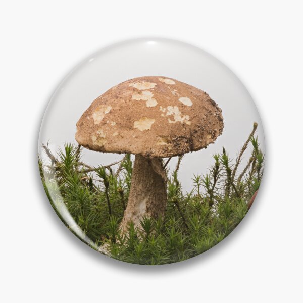 Item preview, Autumn impression with Mushroom and Chestnuts designed and sold by Hans Kool.