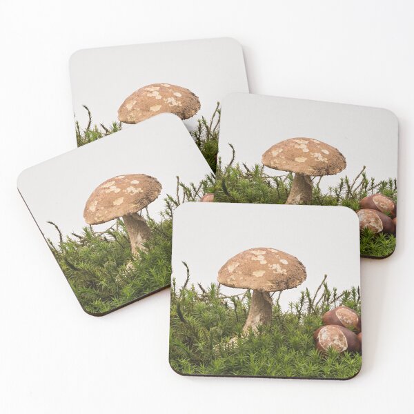 Item preview, Autumn impression with Mushroom and Chestnuts designed and sold by Hans Kool.
