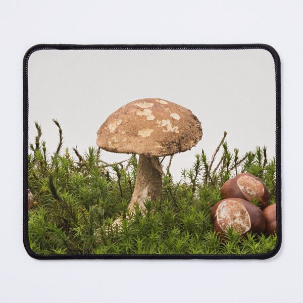 Item preview, Autumn impression with Mushroom and Chestnuts designed and sold by Hans Kool.