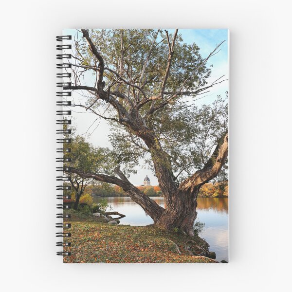 Item preview, Through The Tree designed and sold by timdaytimages.