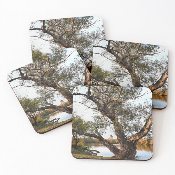 Item preview, Through The Tree designed and sold by timdaytimages.