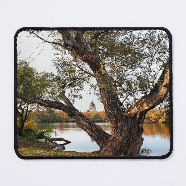 Item preview, Through The Tree designed and sold by timdaytimages.