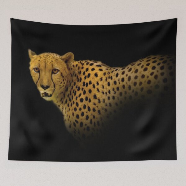 Item preview, Face to Face with a Magnificent Cheetah designed and sold by walkswithnature.