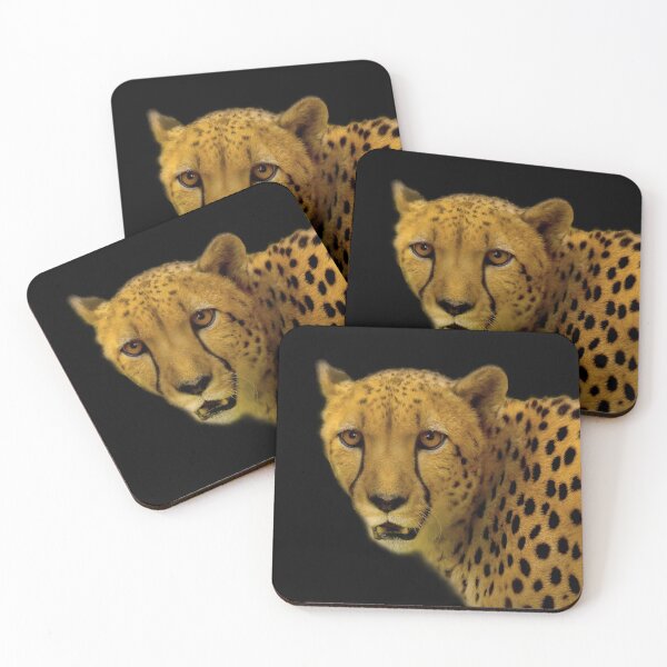 Item preview, Face to Face with a Magnificent Cheetah designed and sold by walkswithnature.