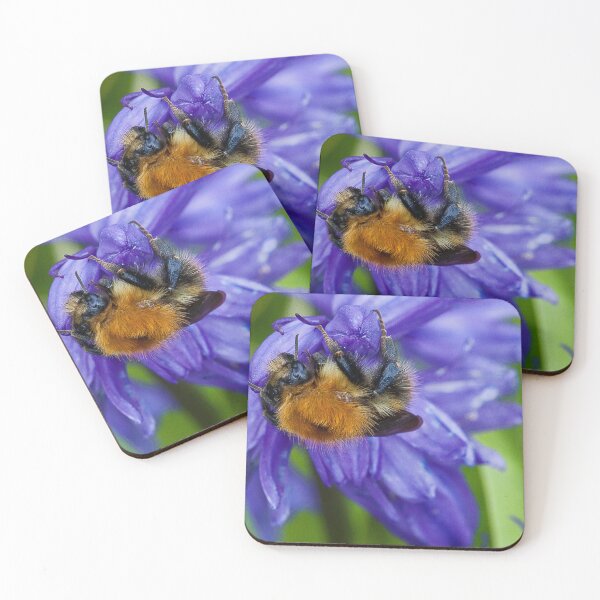 Item preview, Bumbling along and hanging on designed and sold by Violaman.