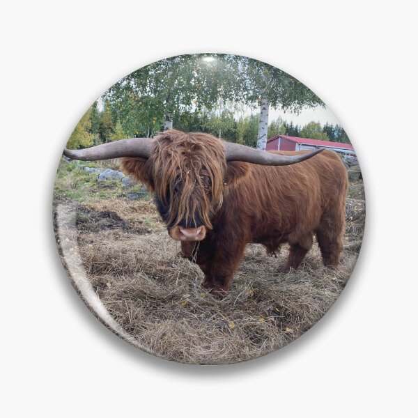 Artikelvorschau, Scottish Highland Cattle Bull 4085 entworfen und verkauft von SaarelaHighland.