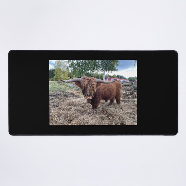 Item preview, Scottish Highland Cattle Bull 4085 designed and sold by SaarelaHighland.