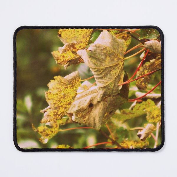 Item preview, autumn leaves background designed and sold by Francespoppy.