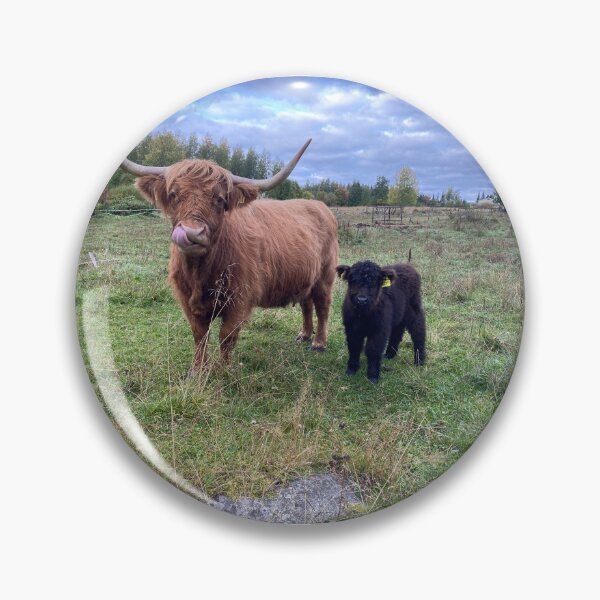 Artikelvorschau, Scottish Highland Cattle Calves 4087 entworfen und verkauft von SaarelaHighland.