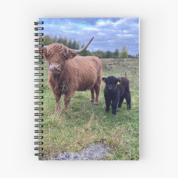 Item preview, Scottish Highland Cattle Calves 4087 designed and sold by SaarelaHighland.
