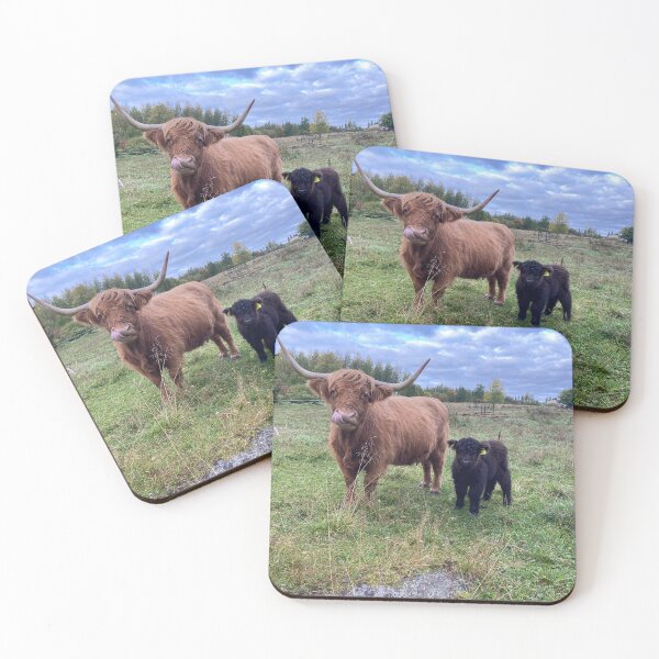 Item preview, Scottish Highland Cattle Calves 4087 designed and sold by SaarelaHighland.
