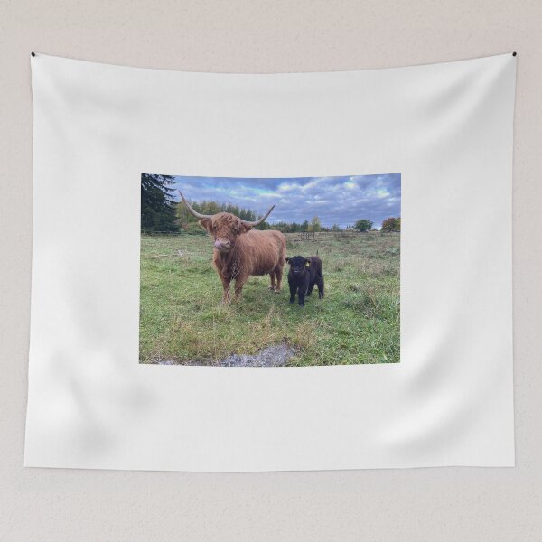 Item preview, Scottish Highland Cattle Calves 4087 designed and sold by SaarelaHighland.