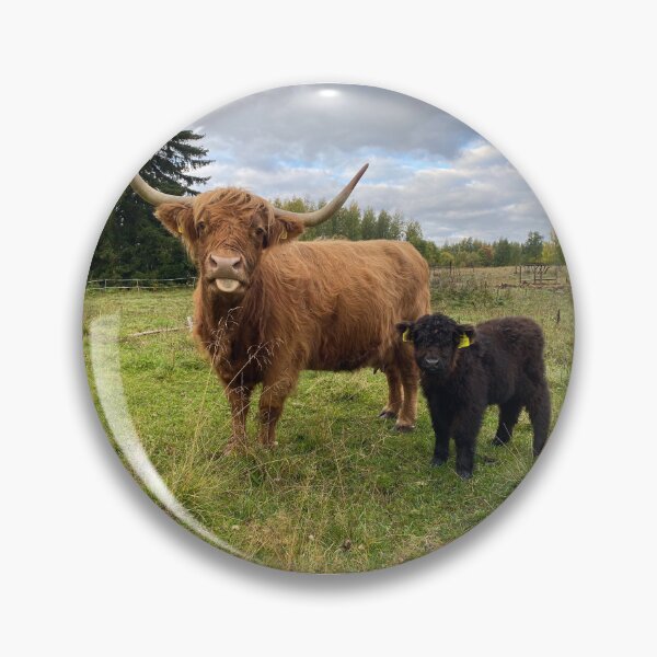 Artikelvorschau, Scottish Highland Cattle Calves 4089 entworfen und verkauft von SaarelaHighland.